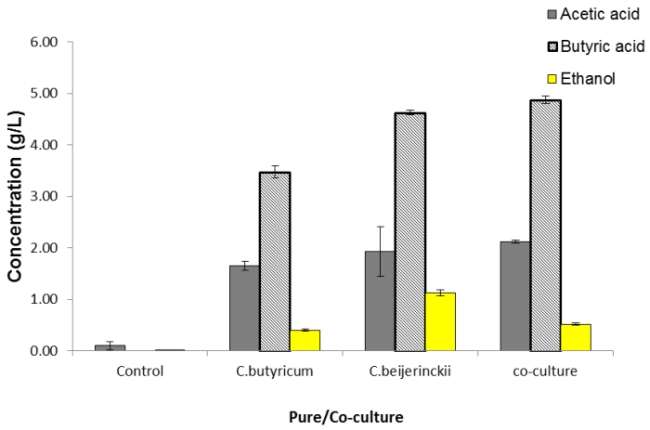 Figure 4: Metabolites produced during fermentation were determined using GC