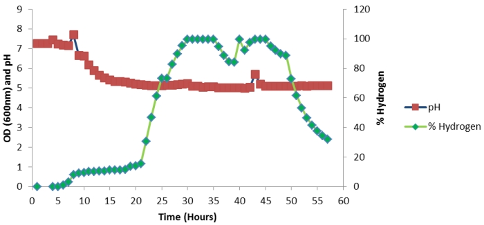 Figure 5: Continuous profile of % hydrogen and pH in 57 hours of batch fermentation (5 litres)
