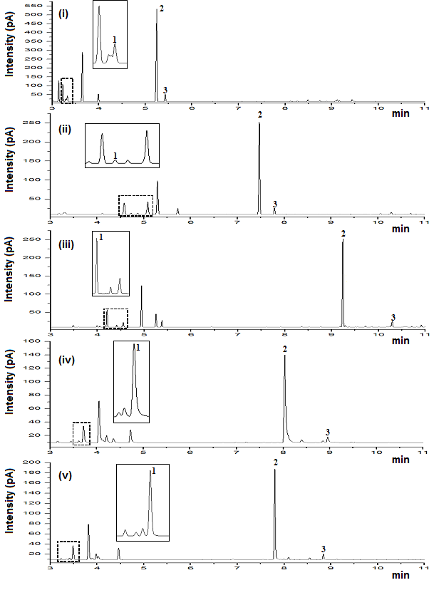 Figure 4: Chromatograms of a TTO sample obtained on different 1D columns, analysed using GC-FID