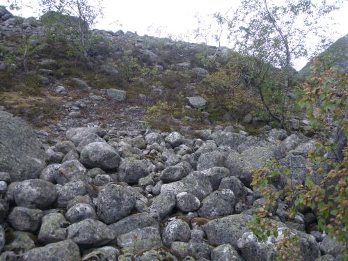 Plate 2: Unconsolidated boulders on the proximal slope of the 1875 moraine