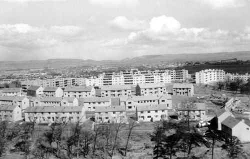 Image 4 Corporation housing at Pollok 1950.jpg