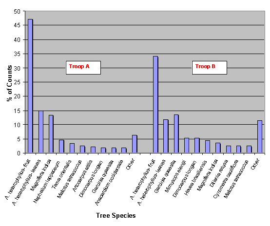 Fig. 3: Bar chart showing the ten main species of trees consumed by troop A and B