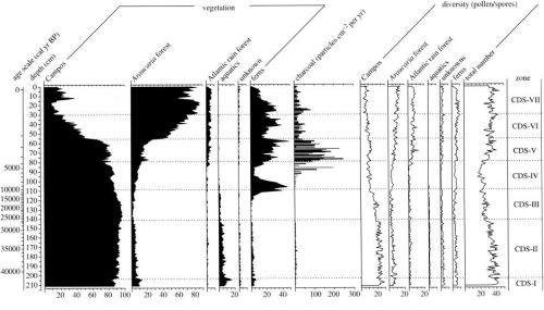 Figure 2: Pollen profile registering late Holocene vegetational changes in the southern Brazilian highlands
