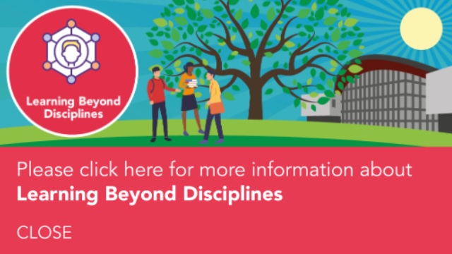 Please click here for more information about Learning Beyond Disciplines