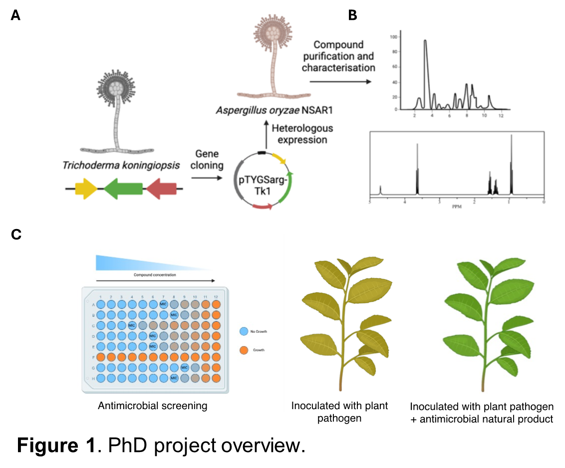 Fig1a, b, and c. PhD project overview