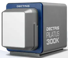 Pilatus 300k detector