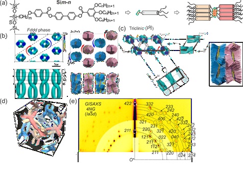 Self-assembly in side-chain liquid crystalline polymers