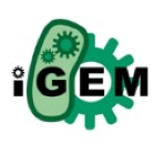 igem_logo.png