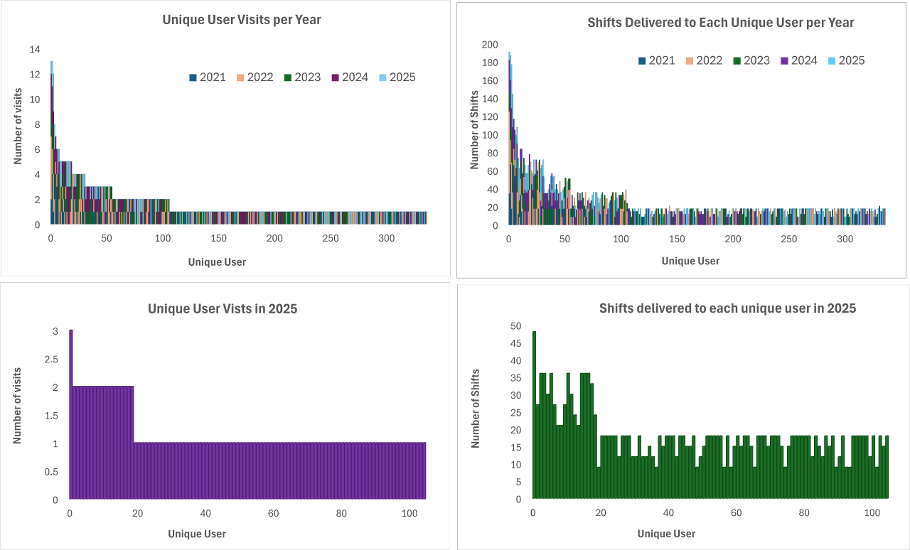 Unique User Visits (Total and 2025)