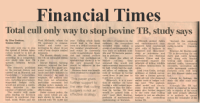 financial_times.png