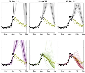 Comparison of model predictions against data during the Omicron wave