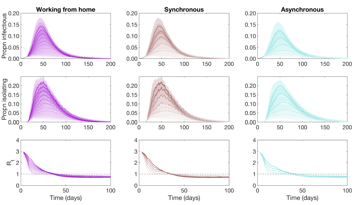 Image described below