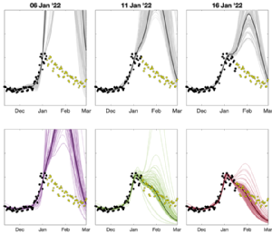 Comparison of model predictions against data during the Omicron wave