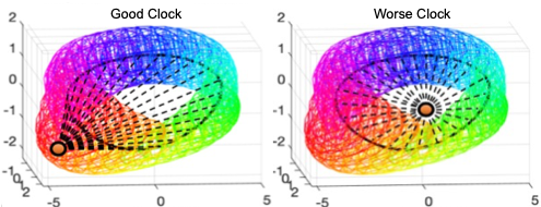 Illustration of TimeTeller to estimate clock function.