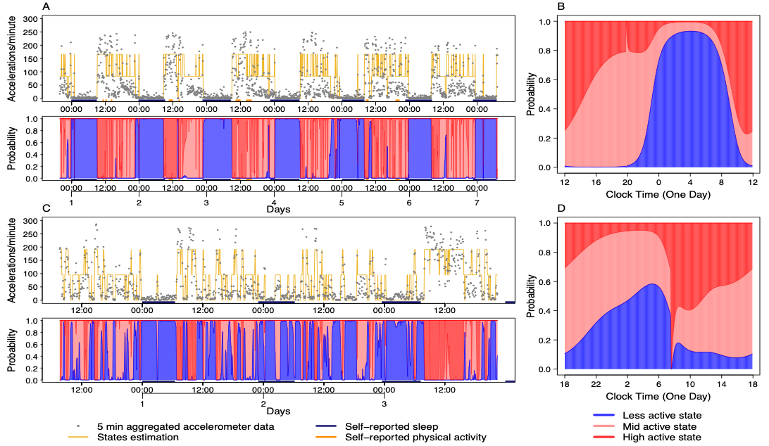 Hidden Markov model output from circadian biomarker data.