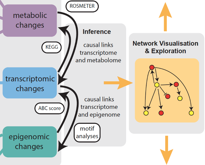 Multi-modal modelling of plant symbiosis.