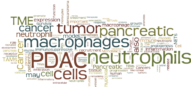 PDAC Wordle