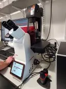 Leica dmi8 spatial transcriptomics