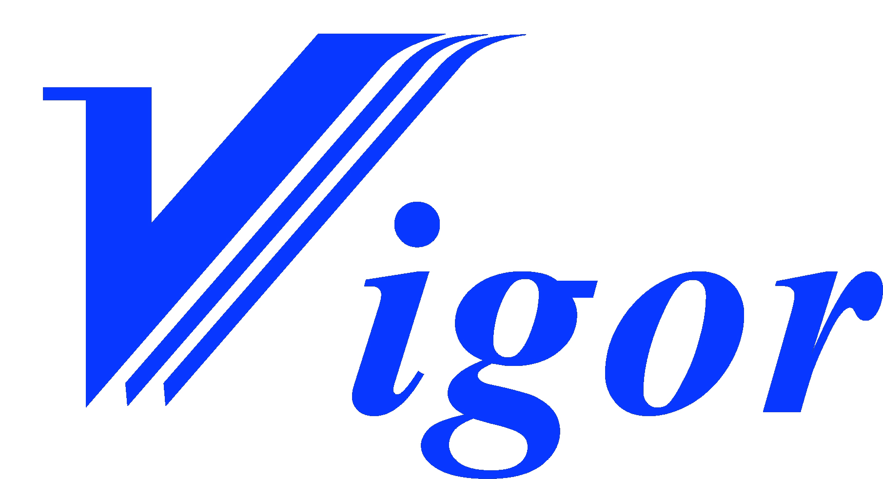 vigor_logo.jpg