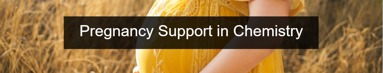 Pregnancy Support