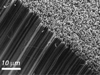 carbon-nanotubes_c2cc32890a-f1_ml-300.jpg