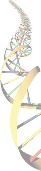 dna_back4.jpg