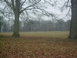 deer park
