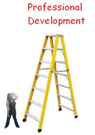 professional_development_ladder1.jpg