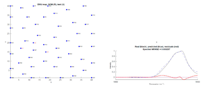 Phosphoglycerate kinase SOMSpec output from 50-protein FTIR film reference set for a relatively poor quality example.