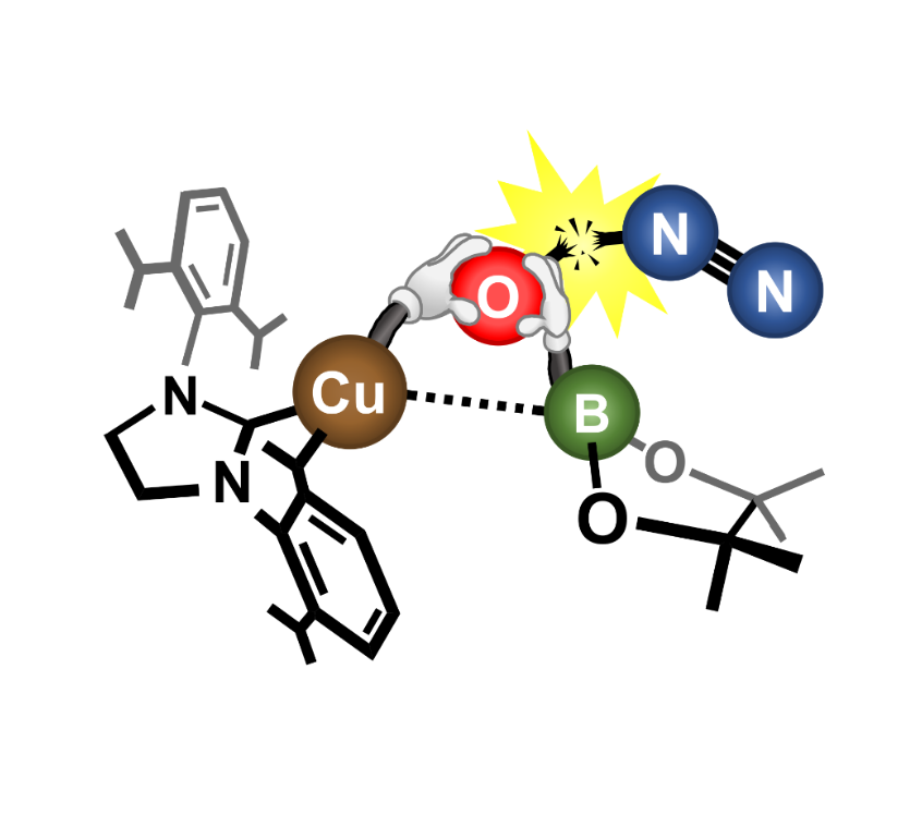 Activation of N2O