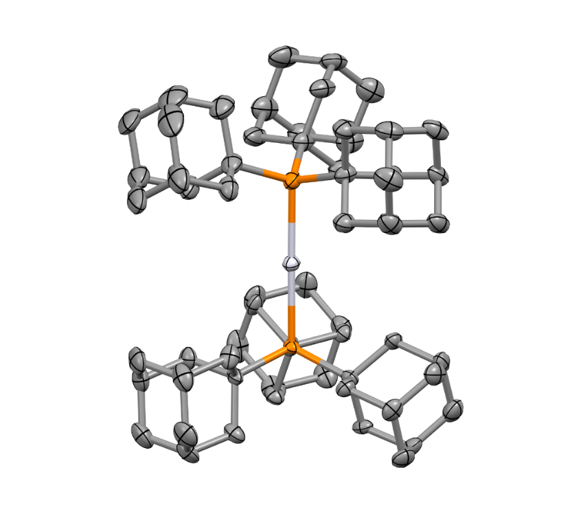 Platinum metalloradical
