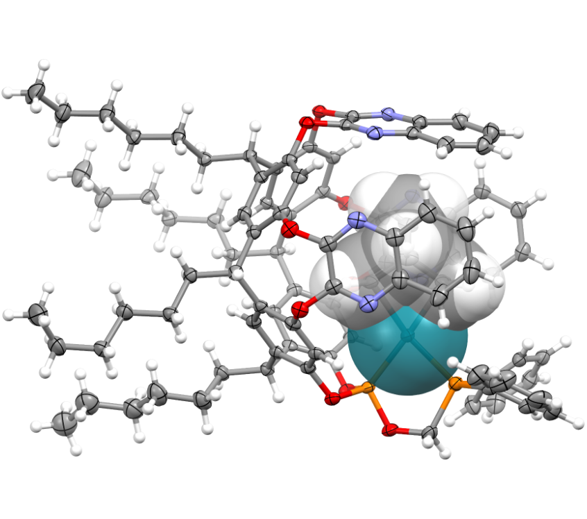 Encapsulated catalyst