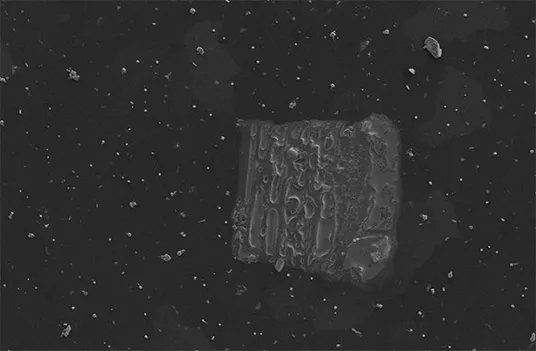 toast in space