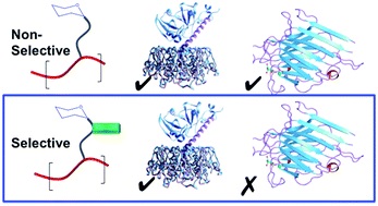 Chem Sci 2014 TOC Image