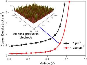 Nanoscale Geometric Electric Field Enhancement in Organic Photovoltaics