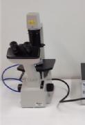 Olympus Inverted Microscope with water cooled crysotage controlled by a nanolite osmometer. Fitted with 0.25mm grill for single crystal ice measurements -6°C continuous operation