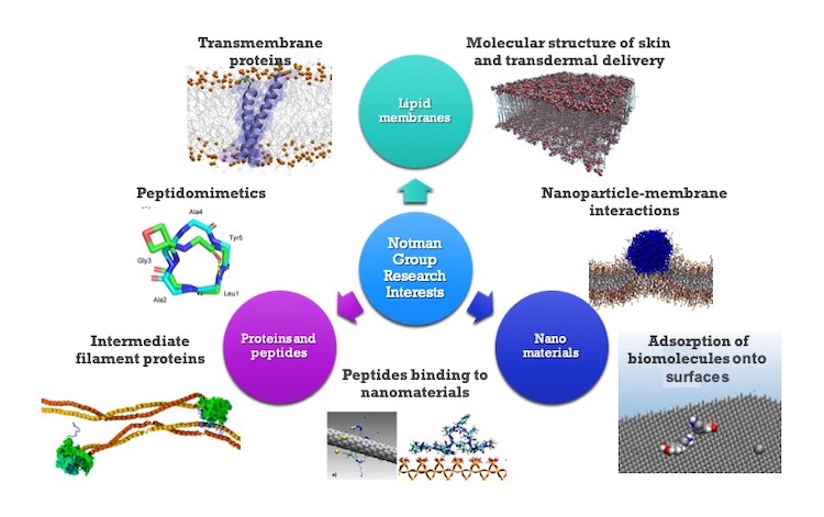 Image depicting research interests in lipid membranes, proteins and the interface between biological and nanoscale materials.