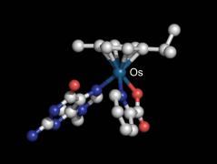 Osmium -Nucleobase Adduct