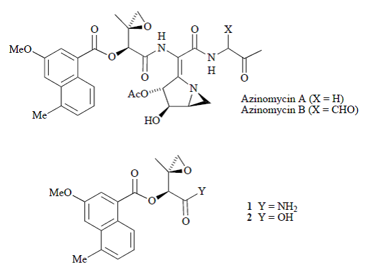 Asymmetric synthesis of the left hand portion of the azinomycins