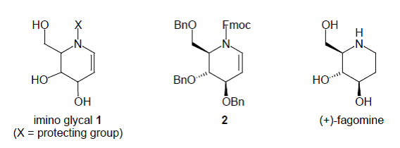 Chemistry of Imino Glycals