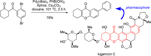 Tetrahydroxanthones by Sequential Pd-Catalyzed C−O and C−C Bond Construction and Use in the Identification of the “Antiausterity” Pharmacophore of the Kigamicins