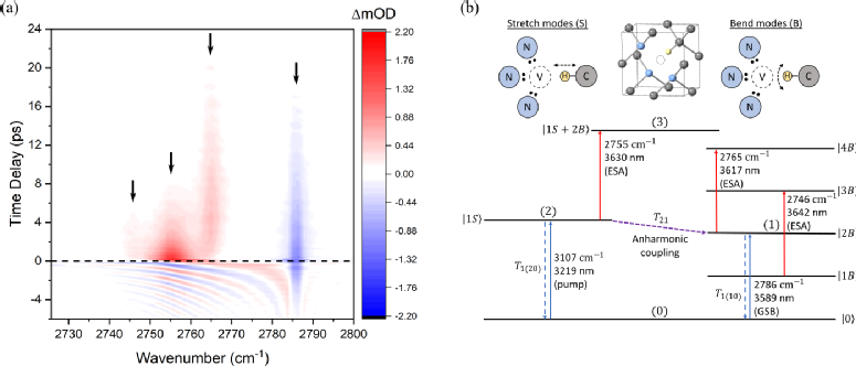 Fig. 2 Vibrational energy structure of the N3VH diamond defect based on TVAS measurements