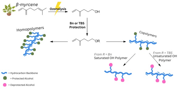 joe omega 2026 abstract