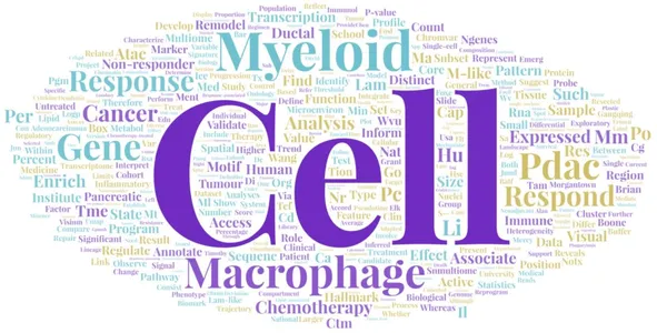 Pancreas Multi-Omics Wordle