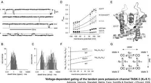 Voltage-dependent gating of the tandem pore potassium channel TASK-3