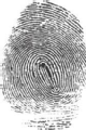 fingerprint1