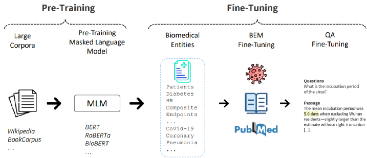 BEM - Biomedical Entity-Aware Masking Strategy - Pipeline