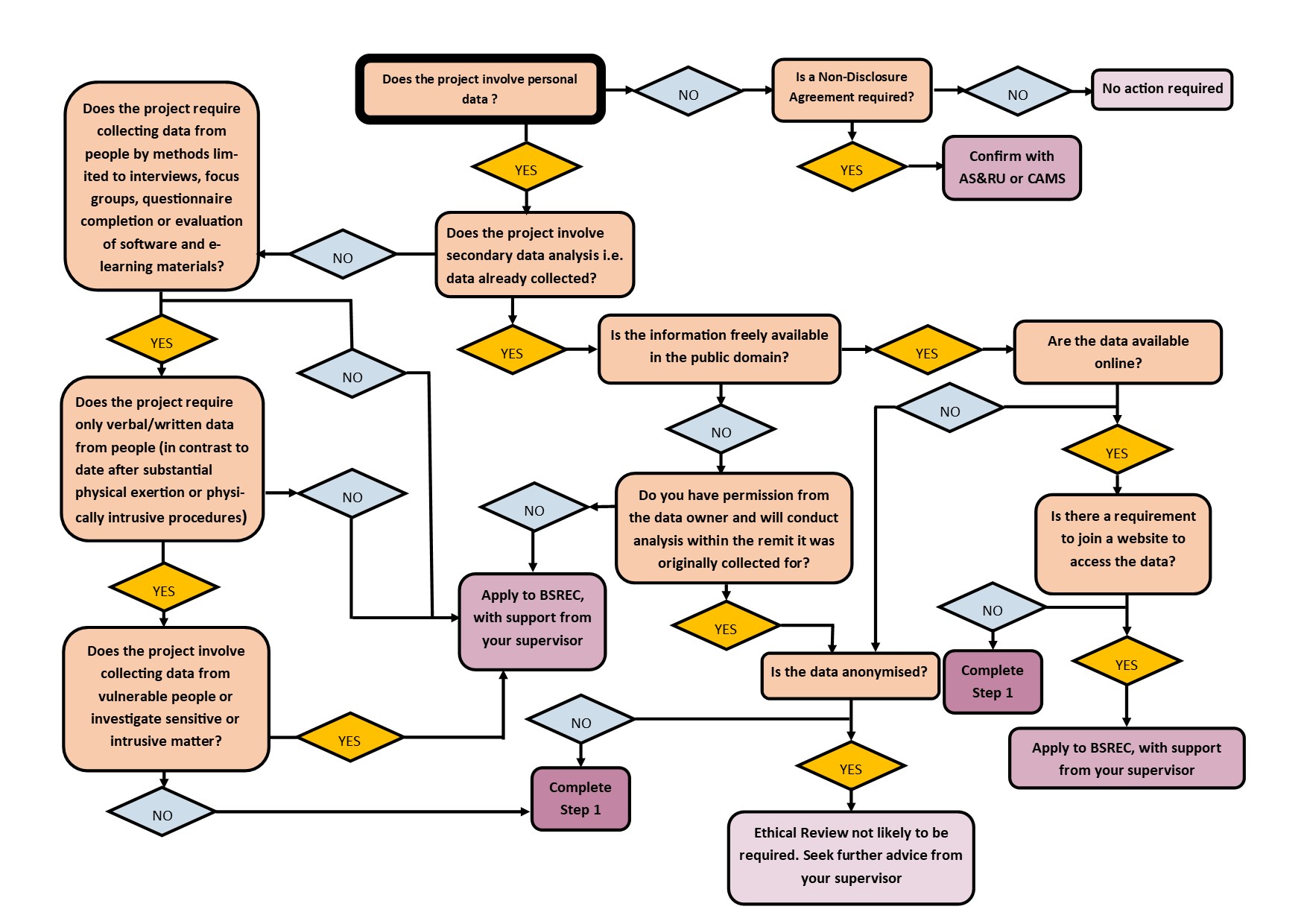 Flow Chart for the Delegated Ethics Approval Process in Computer Science