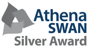 silver award