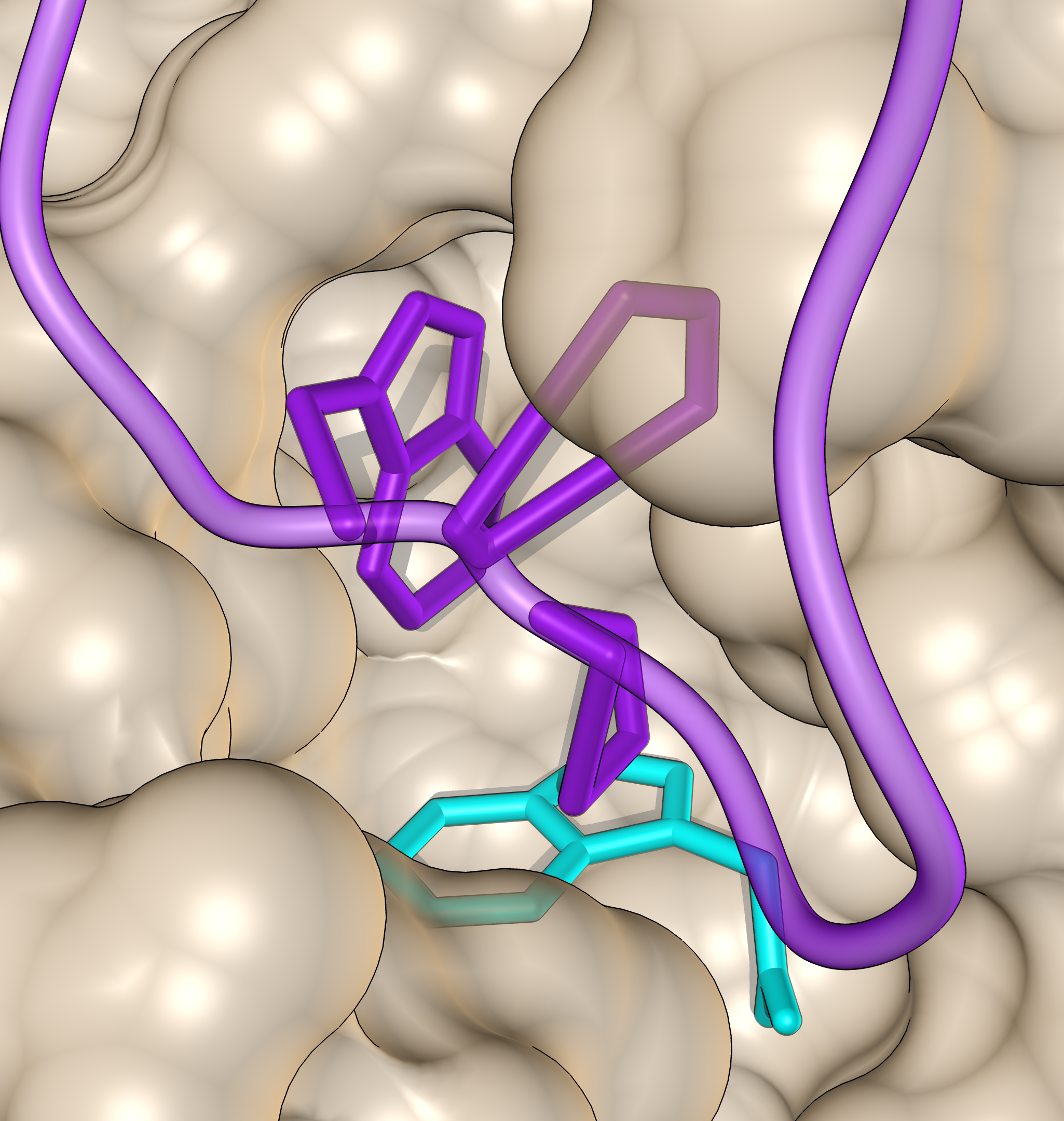 Auxin